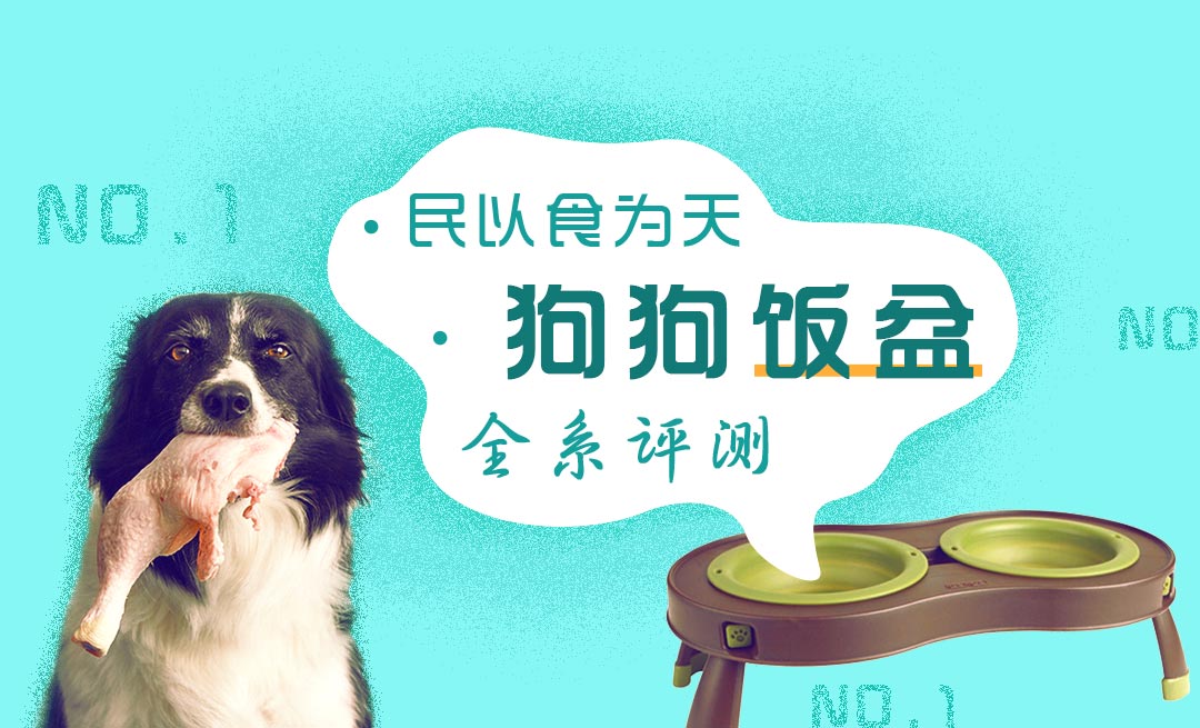 给狗喂饭要喂多少,给狗刷牙的知识