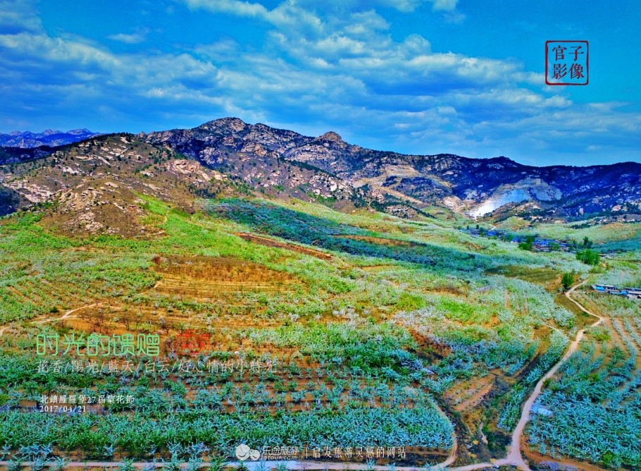 闾山四月梨花似海，源于大朝阳梨花老祖