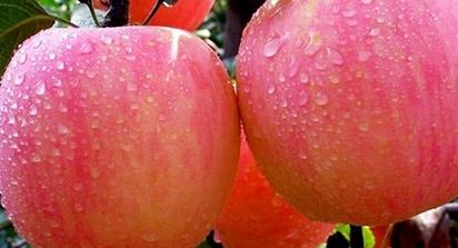 脸部长斑如何淡斑,胡萝卜汁可以祛斑吗