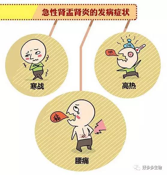 肾积水引发的尿漏怎么办,肾积水排尿困难吃什么药