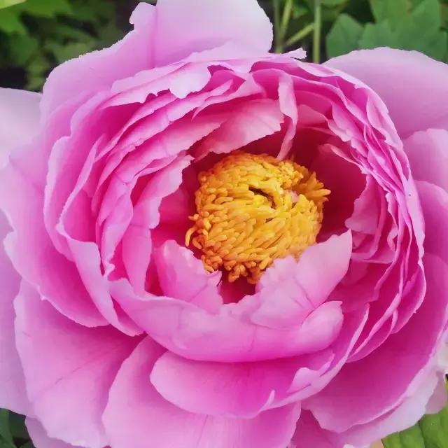 拍照丑是不上镜还是真的丑,拍照好不好看怎么说