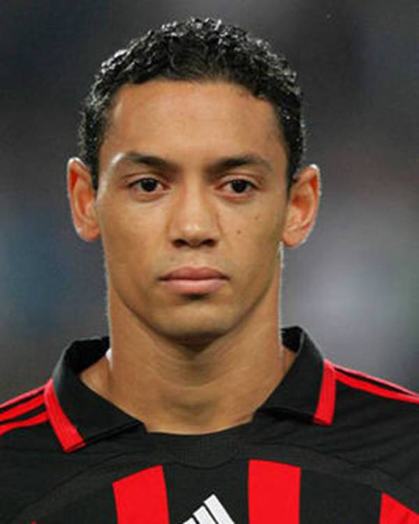 每日花语100句,每日花语蒲公英