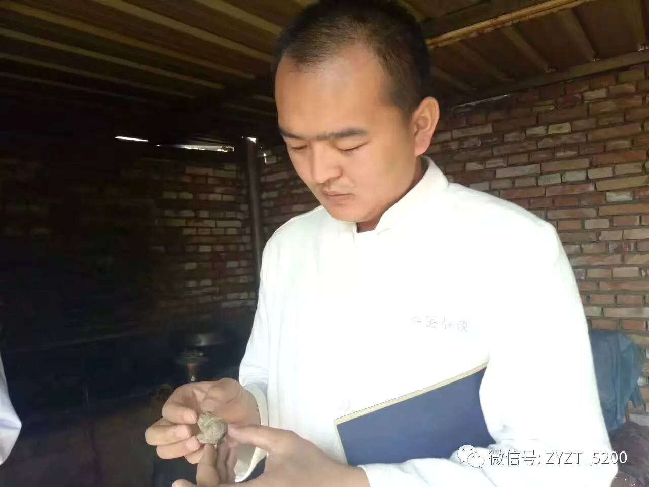 各地骨干观摩全国最美医生高鑫风湿病1+3诊疗体系特色外治法