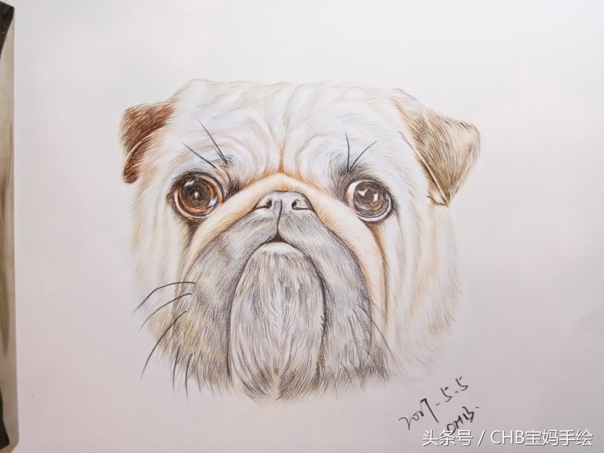 零基础学铅笔画入门小狗,零基础自学彩铅画入门教程