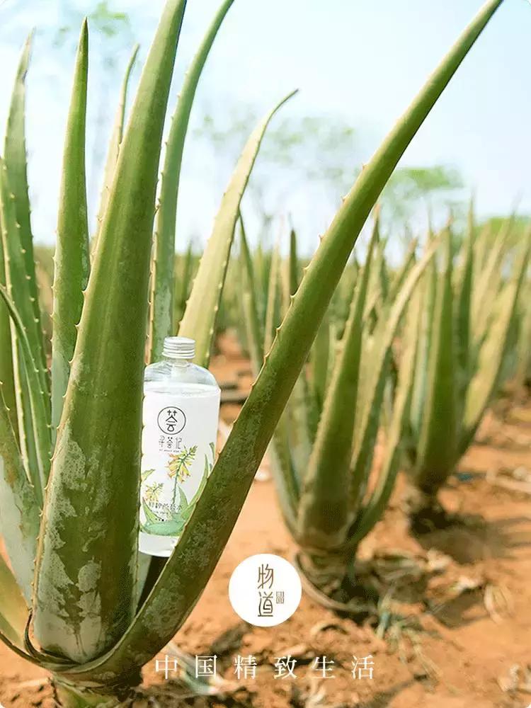 为了自己的皮肤，这位小伙却在“毁容线”上，寻找了3300公里