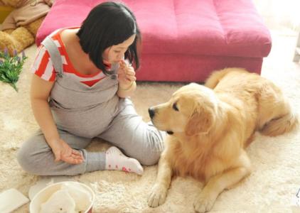 怀孕妈妈不知道的误区,怀孕时妈妈别轻信五个谣言