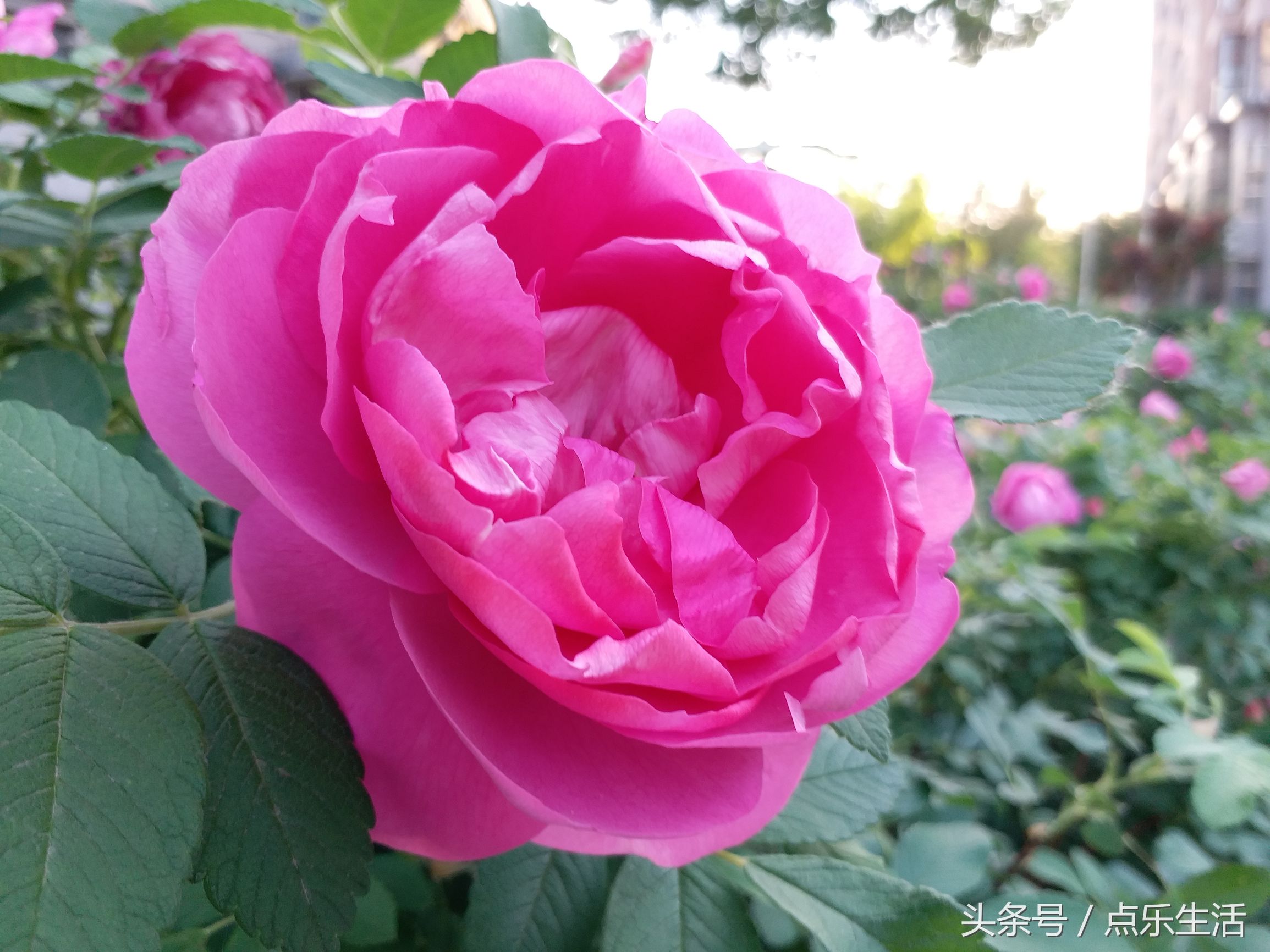 快活一时苦难一世,人活一世历经沧桑