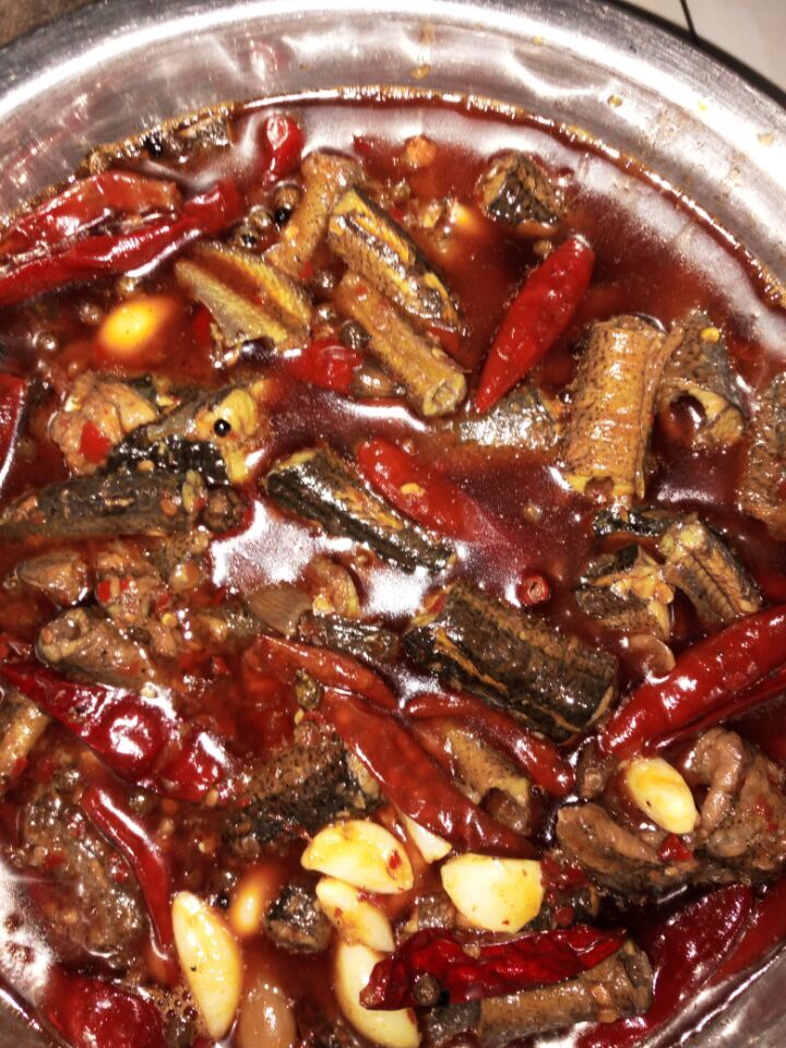 户外钓获最大鲫鱼,野钓擒获一尾九斤大鲫鱼