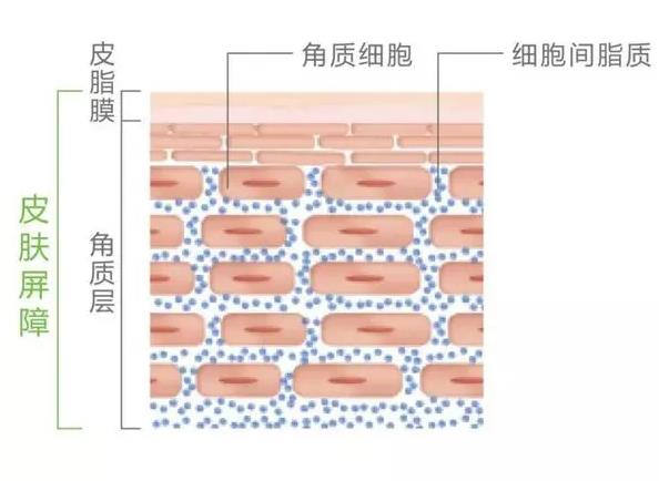 一失足千古恨该怎么办,一失足成千古恨除三害