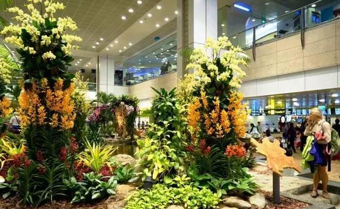 亚洲机场免税店买什么,机场免税店购物攻略必买清单