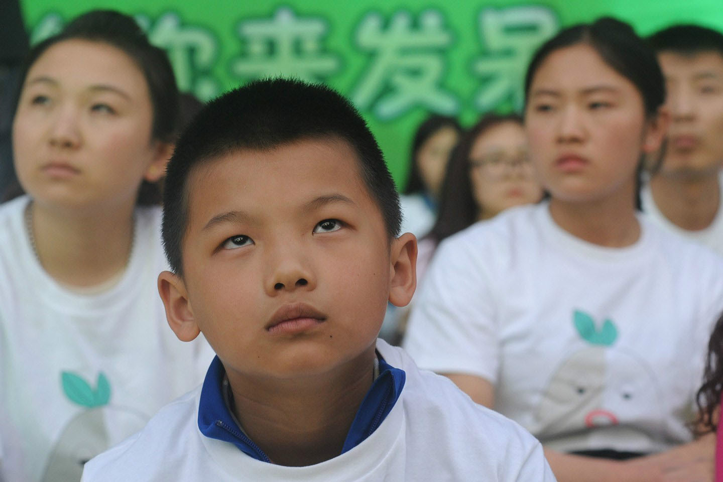 骗保险公司真实案例,骗保险公司的案例