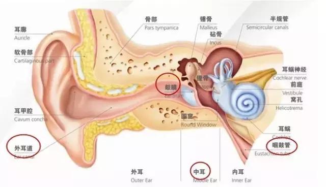 怎样预防分泌性中耳炎复发的方法,如何预防喂养过程中发生中耳炎