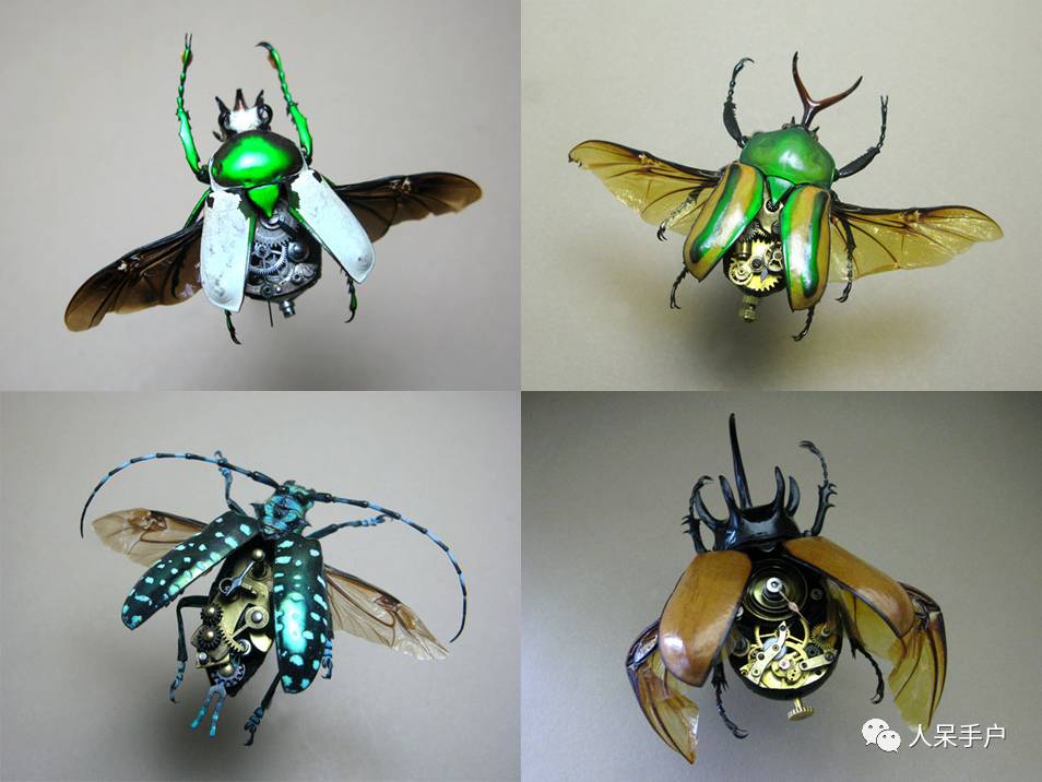 100人民币手工蝴蝶,昆虫大合集手工