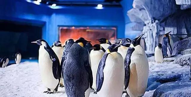 地铁8号线西段或将开通,地铁8号线东延何时建成