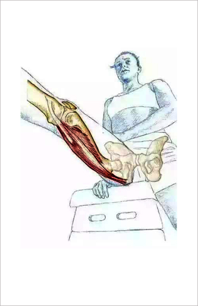 办公室腰背肌锻炼方法,一招解决办公室腰酸背痛