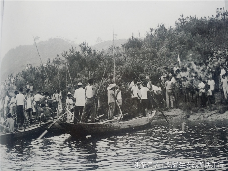 千岛湖人真有福！免费享受573km²的天然绿色游泳场（原创）