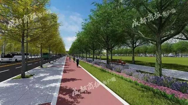 成都新公园开园,成都最大的十大公园