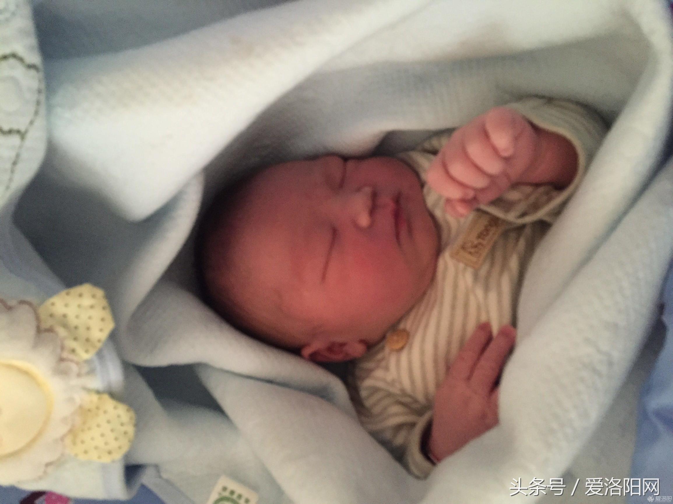 撇下一岁孩子，借款200万到洛阳创业，只为给她创造更好的一切