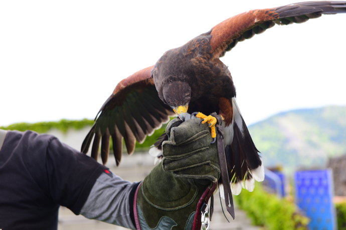 慢行克恩顿,浪回中世纪