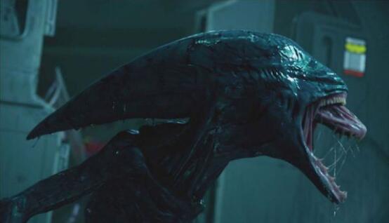电影异形里面的所有异形长什么样,异形不同的形态