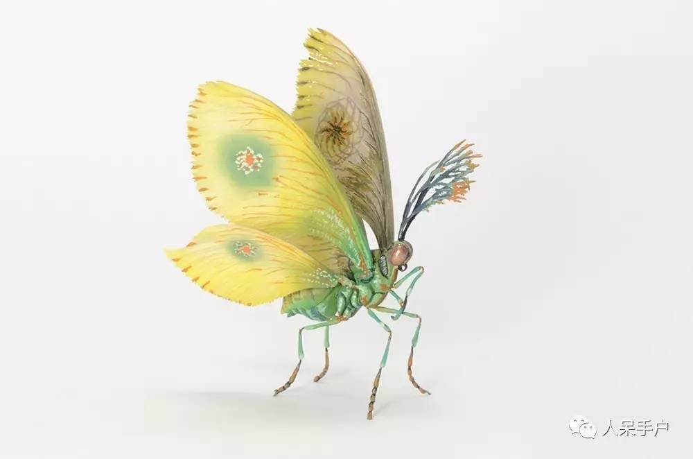 100人民币手工蝴蝶,昆虫大合集手工