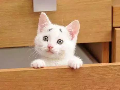 607080后的童年回忆农村小吃,70后80后的童年美食回忆