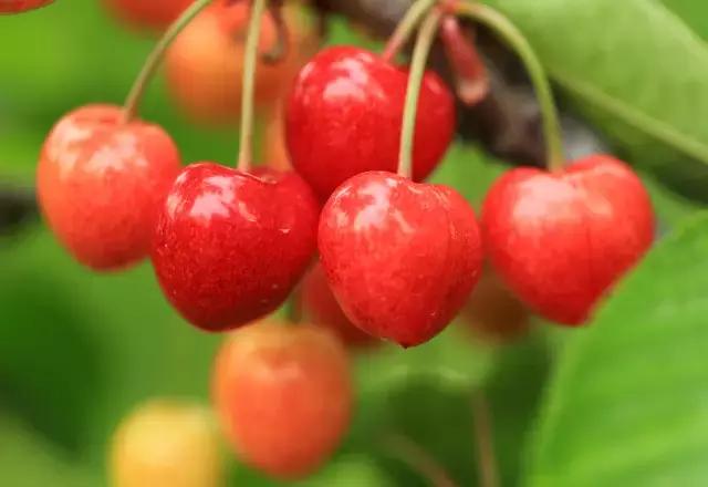 大西安·微PK｜阎良区竟然还有这么多名字你知道几个？