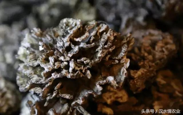 安康最正宗的食物,安康必吃的美食排行榜