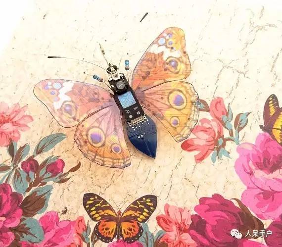 100人民币手工蝴蝶,昆虫大合集手工