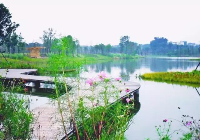 成都新公园开园,成都最大的十大公园