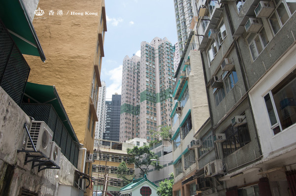 香港4天3夜亲子旅游攻略,香港4天3夜怎么玩