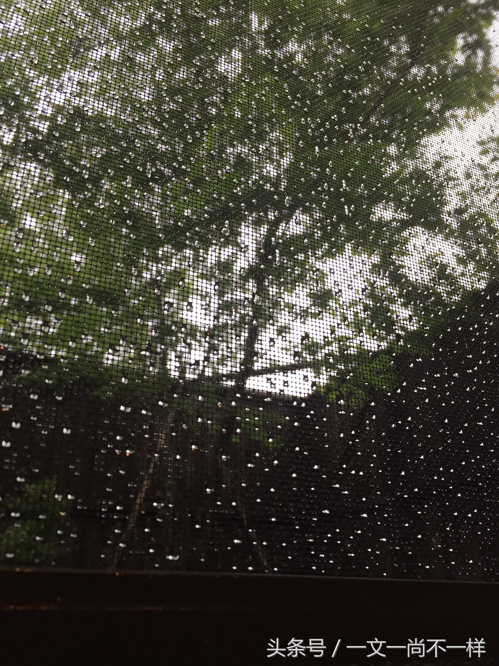 一把伞撑出花花世界，不开劳斯莱斯雨中照样傲娇走