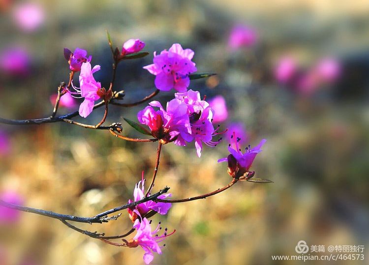 走过四季夏天最美,走过春夏美丽的秋冬