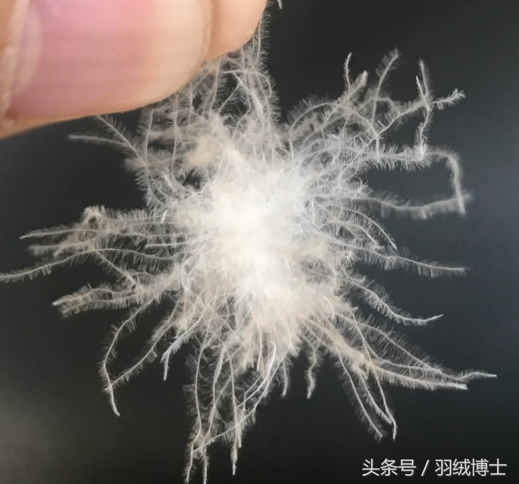 羽绒的鉴别,羽绒马甲与羽绒棉马甲的区别