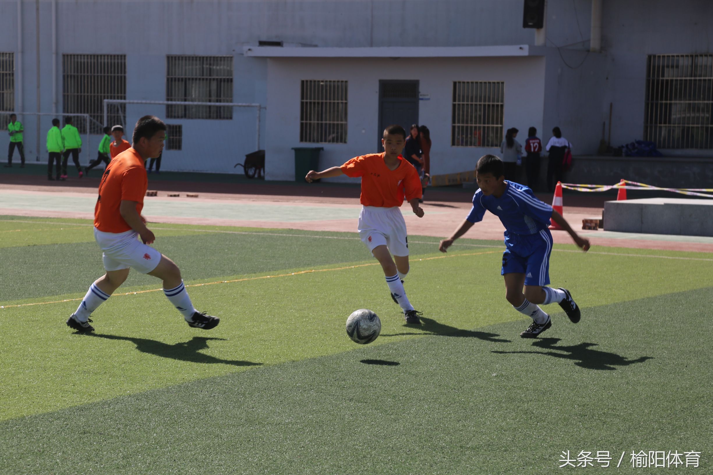 榆阳区中小学生运动会运动项目,榆林市中小学生研学实践活动