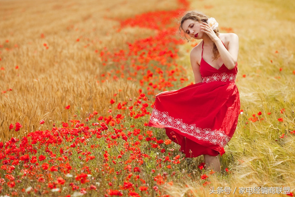 最新小家电品种有哪些品牌,厨房小家电品牌排行榜前十名