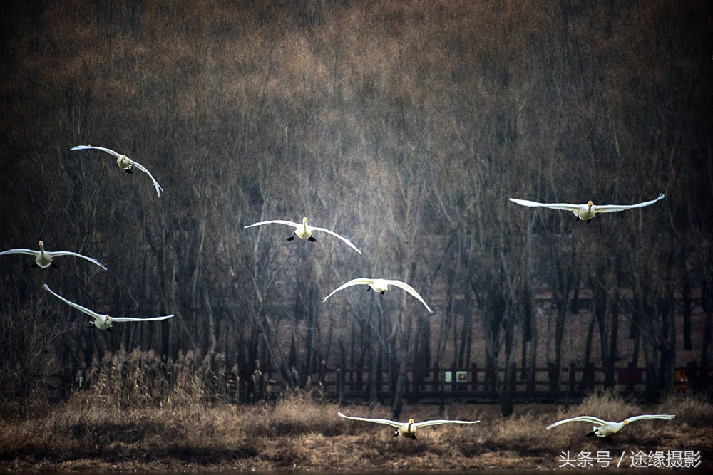 经过湖北最绕的高铁路线，直线900公里绕出了1800公里长度