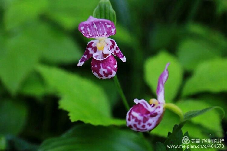 走过四季夏天最美,走过春夏美丽的秋冬