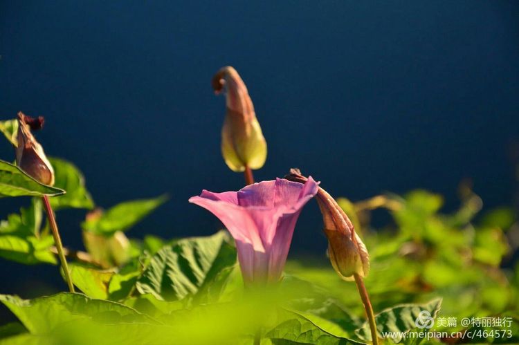 走过四季夏天最美,走过春夏美丽的秋冬