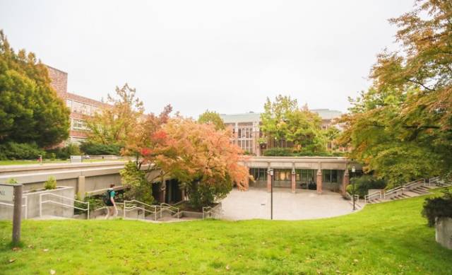 西雅图最浪漫的地方,西雅图一个充满文艺又浪漫的地方