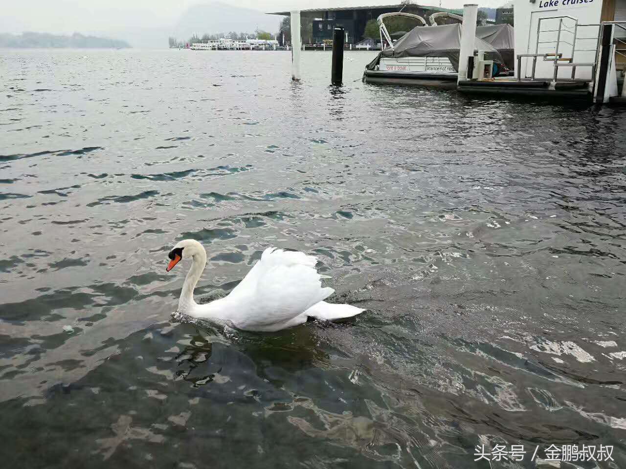做餐饮生意不好老板也不来,做餐饮生意不好老板的心态