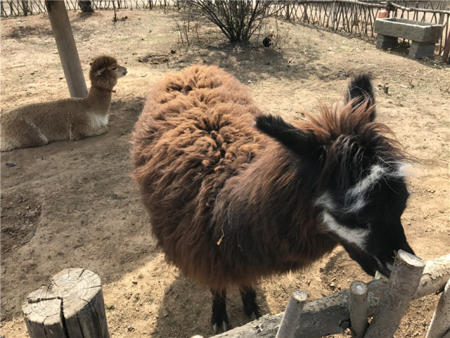神秘谷步道周边游,神秘谷好玩的地方