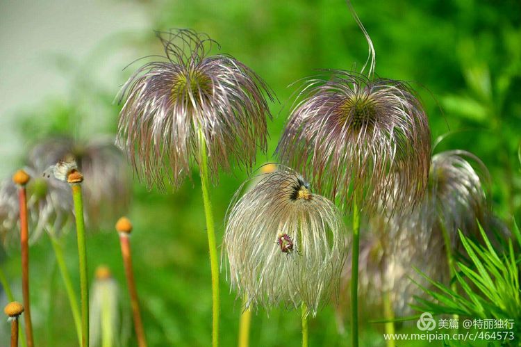 走过四季夏天最美,走过春夏美丽的秋冬