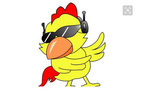 为啥说2023年鸡犯太岁,2024年鸡犯太岁的最佳解决方法