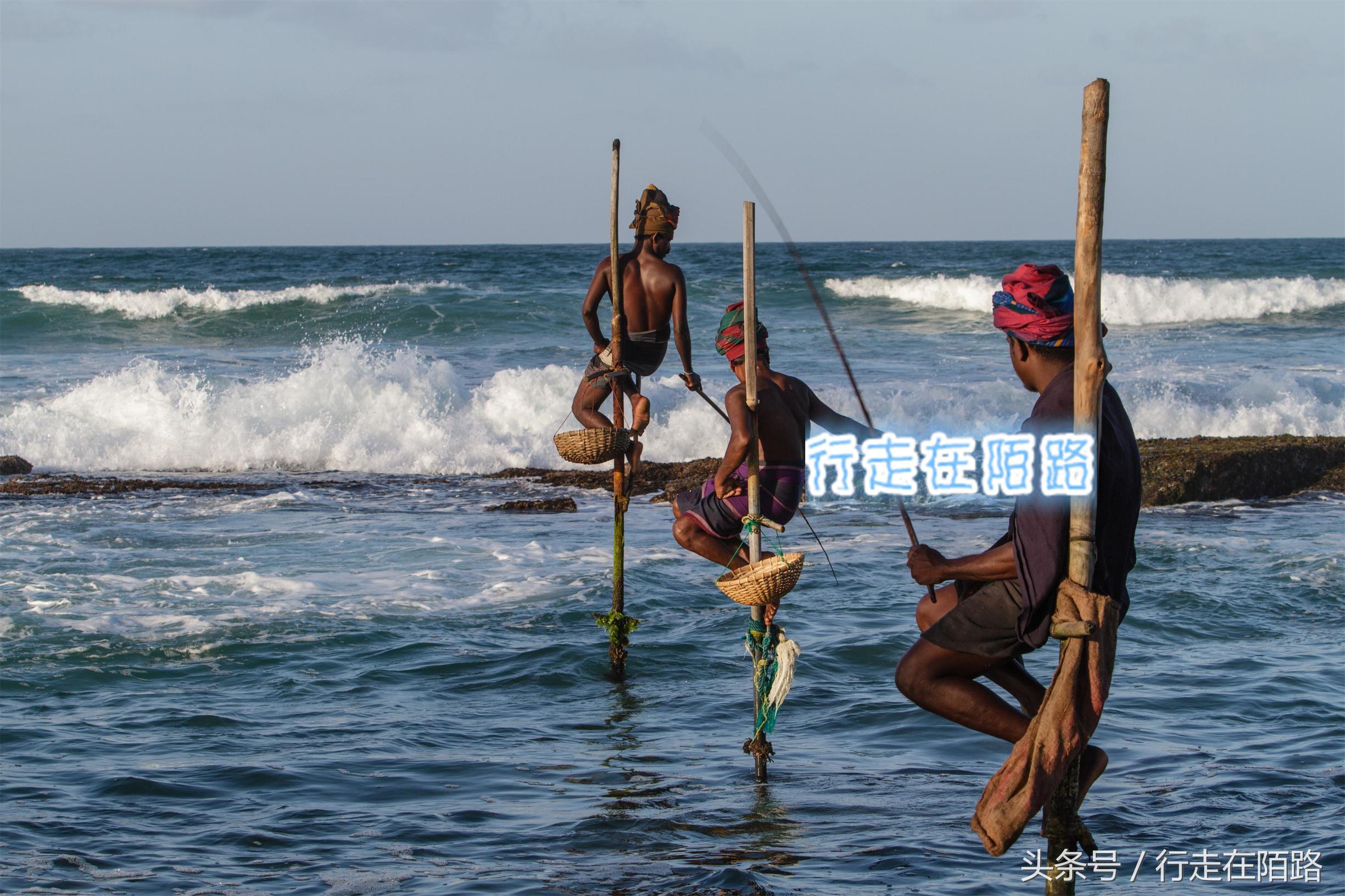 旅游避坑攻略大全,景区套路大全