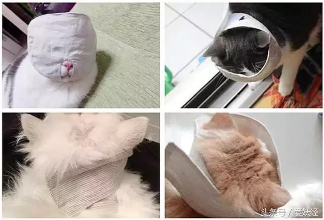 爱妖经｜给主子一个蒙眼神器，玩你想玩不敢玩的play