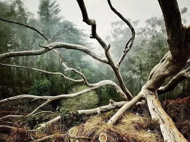 玩转手机摄影轻松拍出大片儿,家中就能拍出大片手机摄影