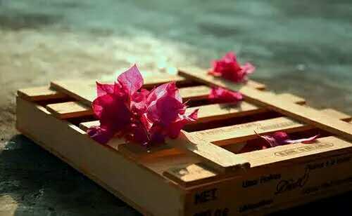 试讲时记不住真题内容怎么办,拿到真题后如何准备试讲