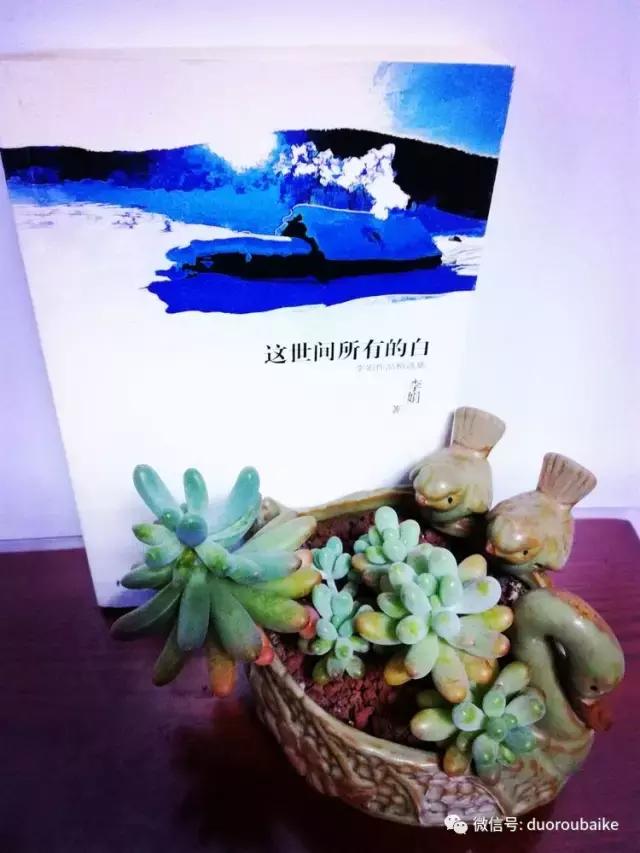 原来多肉与书更配哦！文艺范走起！