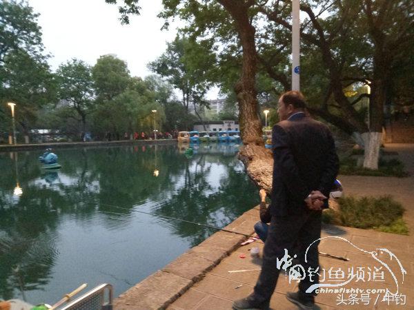 野钓日记第17期,野钓日记19天